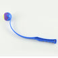 Outdoor Dog Trainer Flying Toy