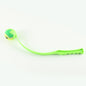 Outdoor Dog Trainer Flying Toy